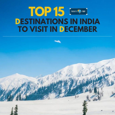 Green_Travel_Instagram_Post